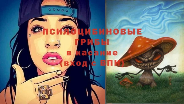 2c-b Алзамай